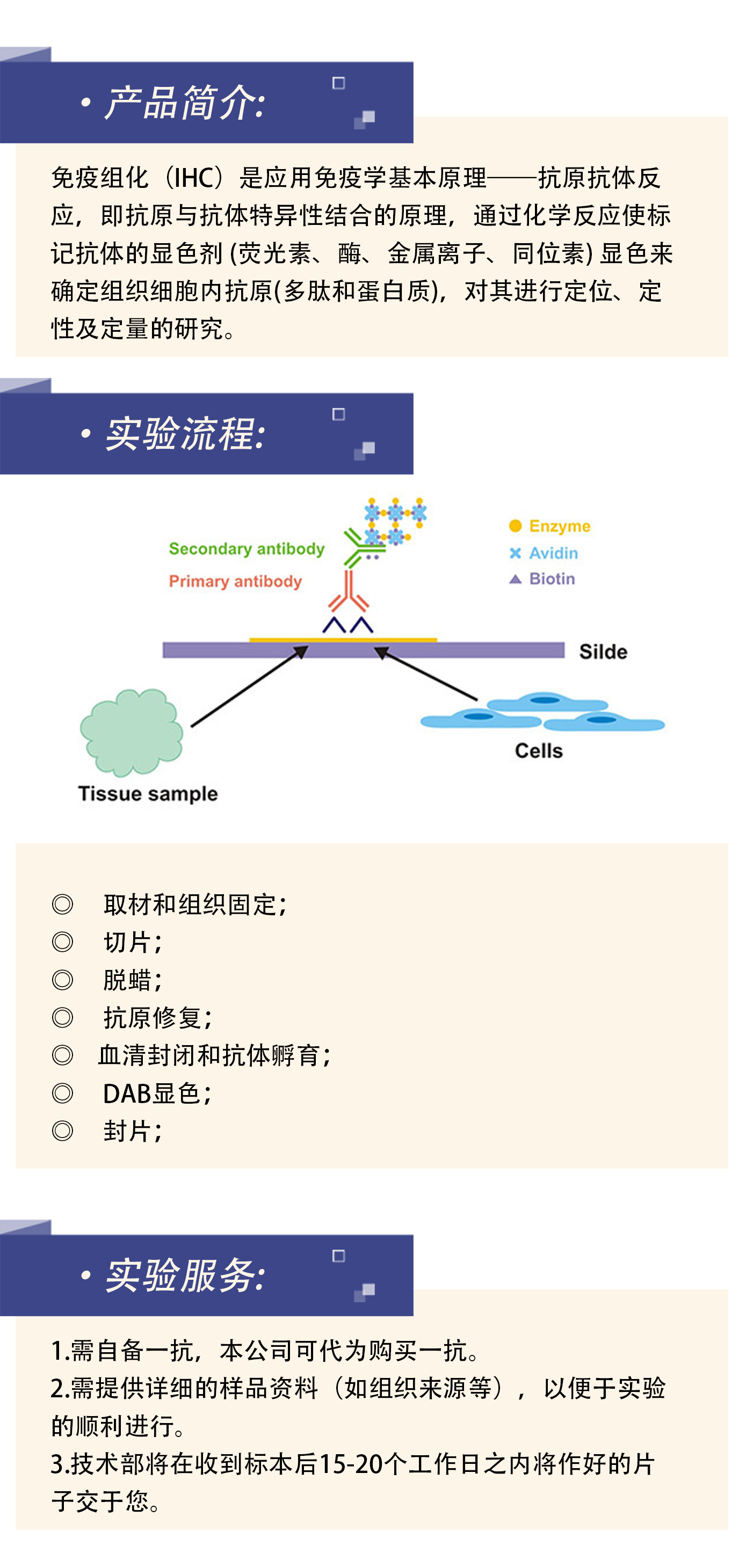 9.组织芯片免疫组化（IHC）检测服务.jpg