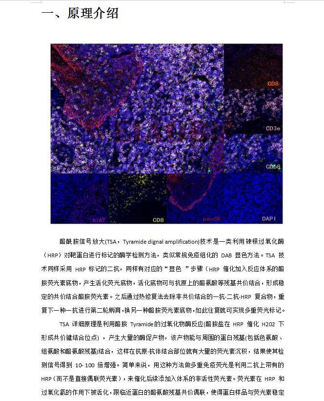 简介1.png